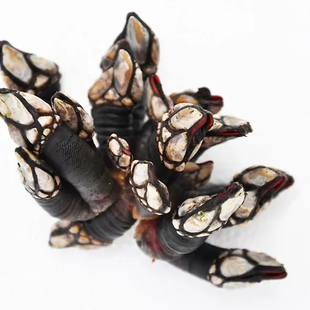 The Old Palace Tower / La Torre Del Palacion