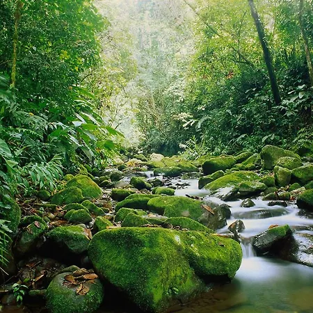 The Old Palace Tower / La Torre Del Palacion
