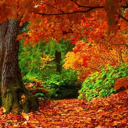 The Old Palace Tower / La Torre Del Palacion *