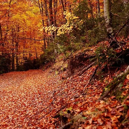 The Old Palace Tower / La Torre Del Palacion Feriehus