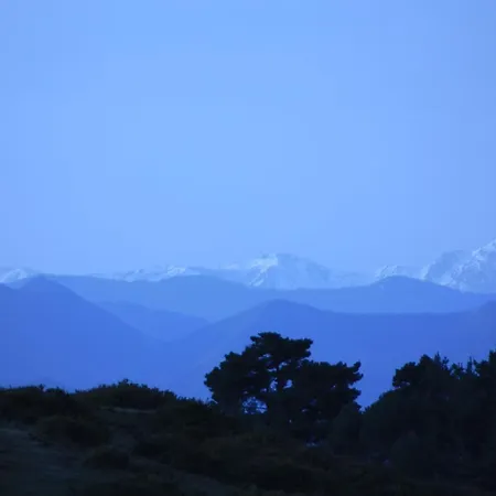 The Old Palace Tower / La Torre Del Palacion