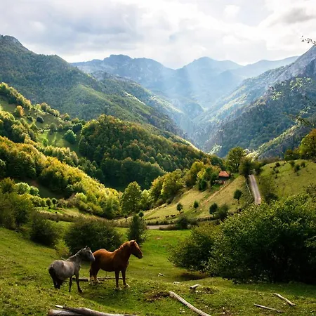 The Old Palace Tower / La Torre Del Palacion