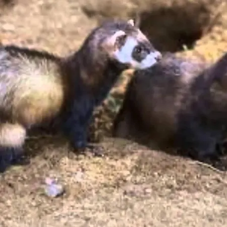 Feriehus The Old Palace Tower / La Torre Del Palacion *